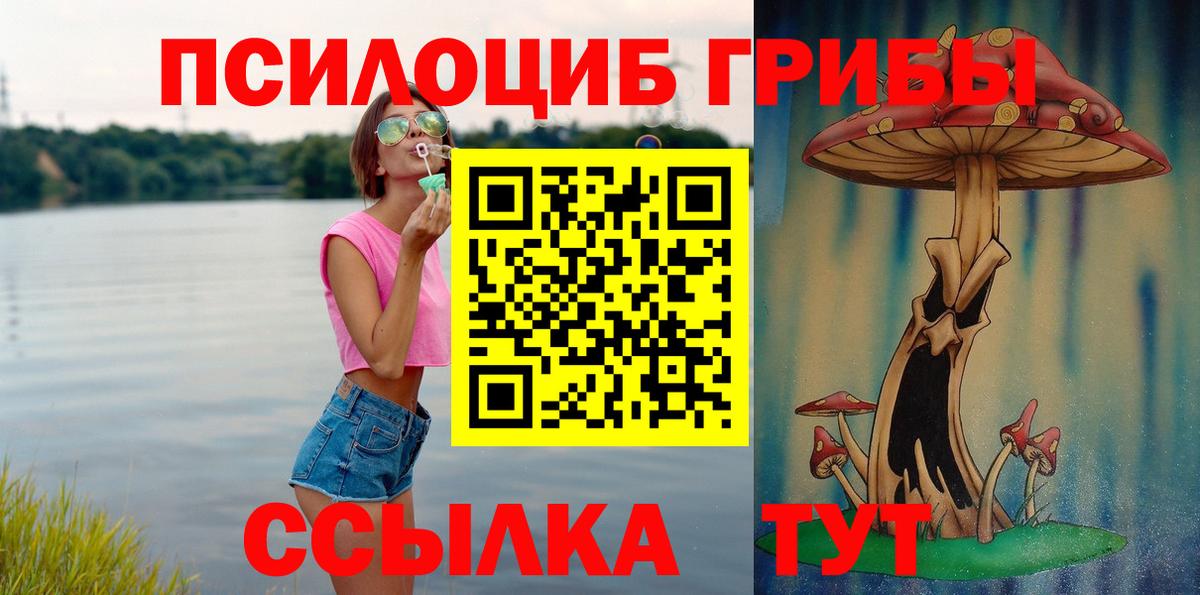 купить  сайты  Псилоцибиновые грибы Psilocybe  Нижневартовск  Вход с VPN  Псилоцибиновые грибы GOLDEN TEACHER 