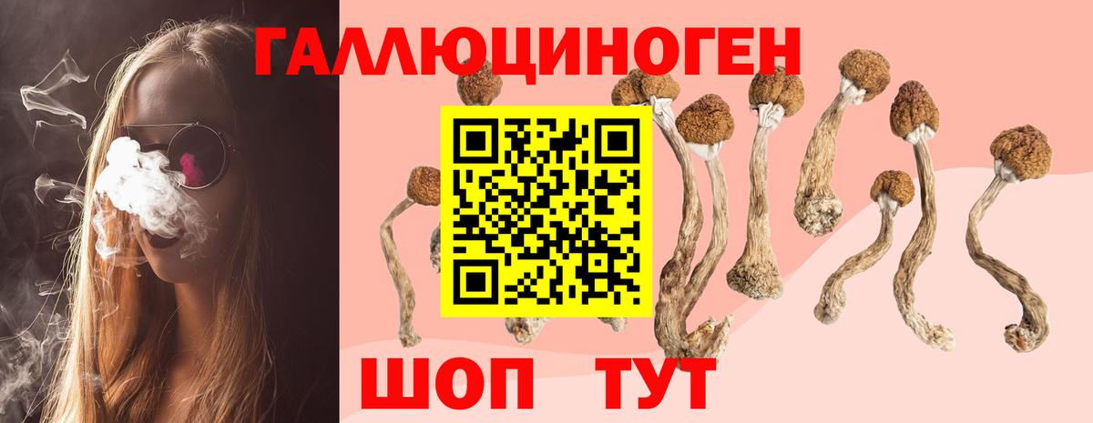 Псилоцибиновые грибы Cubensis Нижневартовск